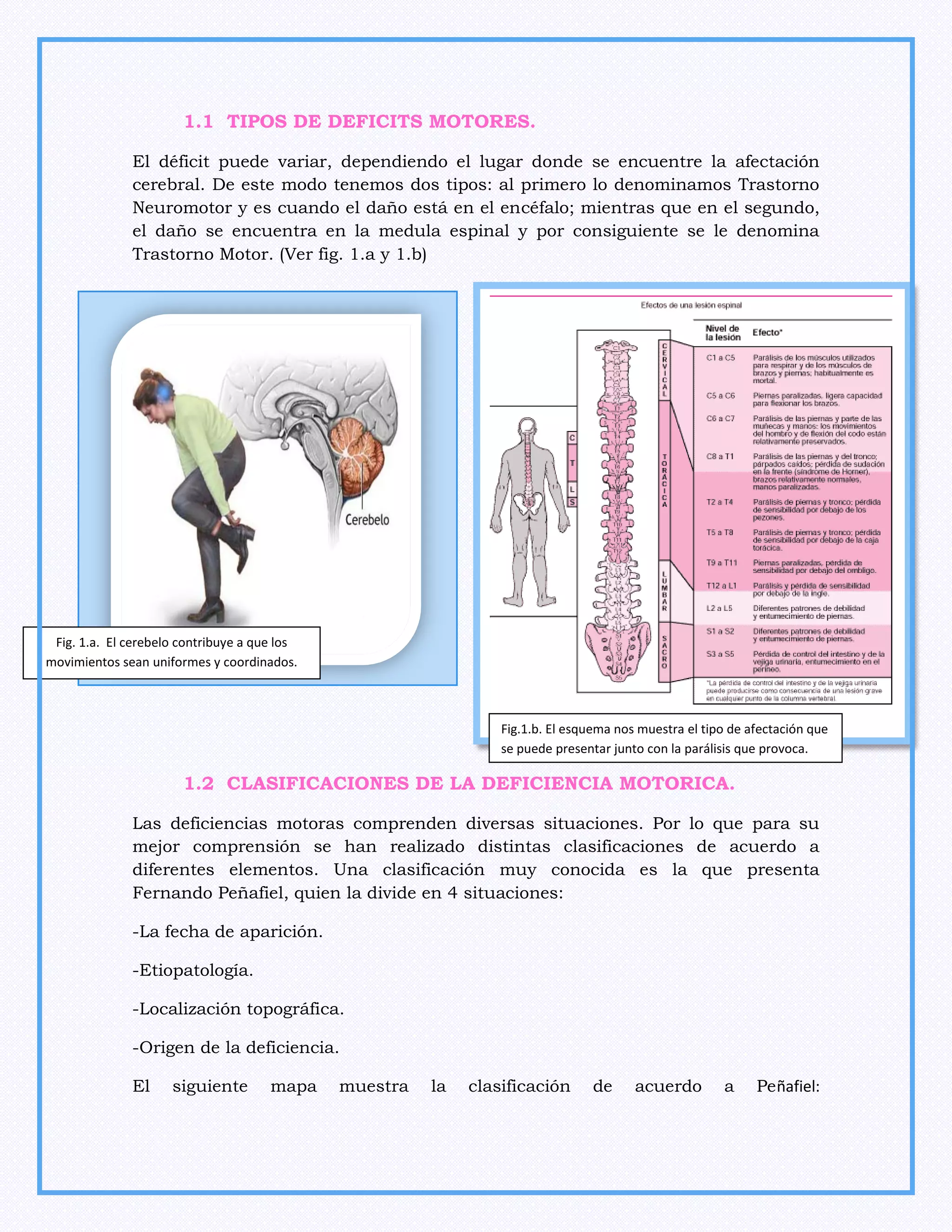 Guia de intervencion educativa a alumnos con discapacidad motriz | PDF