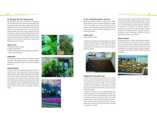 Guia de jardineria sostenible