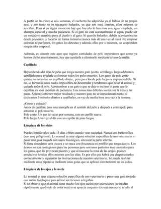 A partir de las cinco o seis semanas, el cachorro ha adquirido ya el hábito de su propio
aseo y por tanto no es necesario bañarlos, ya que son muy limpios, ellos mismos se
acicalan. Pero si en algún momento hay que hacerlo lo haremos con agua templada, un
champú especial y mucha paciencia. Si el gato no está acostumbrado al agua, puede ser
un verdadero martirio para el dueño y el gato. Si queréis bañarlos, debéis acostumbrarles
desde pequeños, y hacerlo de forma rutinaria (nunca más de una vez al mes). No emplear
colonias ni perfumes, los gatos los detestan y además ellos por sí mismos, no desprenden
ningún olor corporal.
Además, es durante este aseo que ingiere cantidades de pelo importantes que como ya
hemos dicho anteriormente, hay que ayudarle a eliminarlo mediante el uso de malta.
Cepillado
Dependiendo del tipo de pelo que tenga nuestro gato (corto, semilargo, largo) debemos
cepillarlo para ayudarle a eliminar todos los pelos muertos. Los gatos de pelo corto
quizás no necesitan un cepillado diario, pero para los de pelo largo es imprescindible. Si
no, se formarán unos nudos imposibles de desenredar y tendremos que pelar al animal y
quitarle todo el pelo. Acostumbrar a un gato a que se deje o incluso le guste que le
cepillen, es sólo cuestión de paciencia. Las zonas más difíciles suelen ser la tripa y las
patas. Solemos obtener mejor resultado y nuestro gato no se impacientará tanto, si
dedicamos 5 minutos diarios a cepillarles, en vez de media hora una vez a la semana.
¿Cómo y cuándo?
Antes de cepillar: pasa una manopla en el sentido del pelo y después a contrapelo para
arrastrar el pelo muerto.
Pelo corto: Un par de veces por semana, con un cepillo suave.
Pelo largo: Una vez al día con un cepillo de púas largas.
Limpieza de los oídos
Puedes limpiárselos cada 15 días o bien cuando veas suciedad. Nunca con bastoncillos
(son muy peligrosos). Lo normal es usar alguna solución específica de uso veterinario o
pasar una gasa mojada con suero fisiológico, sin tocar la parte interna.
Si tiene abundante cera oscura y se rasca con frecuencia es posible que tenga ácaros. Los
ácaros no son contagiosos para las personas pero son unos parásitos muy molestos para
los gatos, que les provocan picores y que al rascarse la zona de las orejas, pueden
producirse heridas ellos mismos con las uñas. Es por ello que habrá que desparasitarlos
correctamente y siguiendo las instrucciones de nuestro veterinario. Se puede realizar
mediante unas pipetas o mediante unas gotas que se aplican directamente en los oídos.
Limpieza de los ojos y la nariz
Lo normal es usar alguna solución específica de uso veterinario o pasar una gasa mojada
con suero fisiológico para retirar secreciones o legañas.
Si se observa que el animal tiene mucho los ojos sucios por secreciones (se oxidan
rápidamente quedando de color rojo) o se aprecia conjuntivitis será necesario acudir al
 