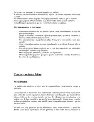 No juegues con las manos, le animarás a morderte y arañarte.
Si mientras esta jugando desvía la atención del juguete y se lanza a tus manos, interrumpe
el juego.
No debes retirar las manos de golpe si te coge y te muerde o araña, ya que le animarás
más a seguir jugando. Debes marcarlo. Deja de mover las manos y di un fuerte NO
contundente para que entienda que ese comportamiento no es aceptado.
Más ideas para que tu gato juegue
- Fomenta su curiosidad con una sencilla caja de cartón, cambiándosela de posición
para que investigue.
- ¡Juega al escondite! Ocúltate en alguna esquina de la casa y llámale. En cuanto te
localice saldrá corriendo para provocarte.
- Con un una linterna o espejo haz un reflejo de luz, verás como acecha y salta para
cazarlo.
- Si no existe peligro de que se escape o pueda sufrir un accidente, deja que salga al
exterior.
- Esconde pequeñas bolitas de pienso por la casa. Tu gato utilizará sus habilidades
olfativas para encontrarlas y divertirse.
- Ofrécele juguetes diferentes y cámbialos con regularidad.
- Dale los peluches pequeños que ya no quieras o el simple cartucho de cartón de
los rollos de papel higiénico.
Comportamiento felino
Socialización
La socialización conlleva un nivel alto de responsabilidad, perseverancia, tiempo y
paciencia.
La socialización es mucho más fácil realizarla en cachorros pero es viable socializar un
gato adulto. En nuestra experiencia, hemos observado como hay gatos que han tenido un
mínimo trato con las personas durante sus años de vida pero que su naturaleza y su
carácter son de base sociable y que por lo tanto, dedicándoles tiempo, amor y cariño
acaban convirtiéndose en gatos muy sociables, que buscan el contacto humano y que no
atacan ni bufan.
Por otro lado, hay gatos que por su personalidad jamás serán sociables. O gatos que
debido a sus malas experiencias con las personas se han vuelto ariscos, miedosos e
 