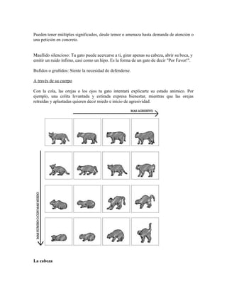 Pueden tener múltiples significados, desde temor o amenaza hasta demanda de atención o
una petición en concreto.
Maullido silencioso: Tu gato puede acercarse a ti, girar apenas su cabeza, abrir su boca, y
emitir un ruido ínfimo, casi como un hipo. Es la forma de un gato de decir "Por Favor!".
Bufidos o gruñidos: Siente la necesidad de defenderse.
A través de su cuerpo
Con la cola, las orejas o los ojos tu gato intentará explicarte su estado anímico. Por
ejemplo, una colita levantada y estirada expresa bienestar, mientras que las orejas
retraídas y aplastadas quieren decir miedo e inicio de agresividad.
La cabeza
 
