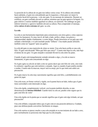 La posición de la cabeza de un gato nos indica varias cosas. Si la cabeza está estirada
hacia adelante, el gato nos está pidiendo que lo toquemos, o bien para ver mejor la
expresión facial de la persona - o de otro gato. Es un mensaje de salutación. Durante un
conflicto, un gato confiado elevará su cabeza, mientras que un gato agresivo la bajará. Un
gato inferior o sumiso también agachará su cabeza, en sumisión. Sin embargo un gato
inferior temeroso y agresivo también elevará su cabeza. Para comprender el mensaje,
debes mirar el otro extremo del gato: su cola.
La cola
La cola es una herramienta importante para comunicarse con otros gatos y otras especies
(como los humanos). Es muy movil, de lado a lado, arriba y abajo, con gracia y
majestuosidad, rápida o lentamente, o como látigo. Puede enroscarse en un gato que está
sentado o durmiendo, o si está asustado puede "inflarse". Una madre puede utilizarla
también como un "juguete" para sus gatitos.
La cola del gato es una expresión de cómo se siente. Una cola hacia arriba es una cola
feliz. El gato está diciendo "Mira qué feliz que estoy!". Cuanto más baja la cola, más bajo
el ánimo de ese gato. Un gato enojado o asustado llevará la cola entre las patas.
Cuando el gato está tranquilamente sentado mirando a algo, y la cola se mueve
lentamente, el gato está concentrado en algo.
Si el gato agita su cola de un lado a otro no quiere decir que esté feliz de verte, sino todo
lo contrario: significa que está molesto y enojado. Aquí es cuando el gato podría morder
o arañar. Cuanto más la muevan, mayor será su enojo, por lo que trata esta señal con
precaución.
Si el gato mueve la cola muy suavemente significa que está feliz, y probablemente con
ganas de jugar.
Una cola recta, en forma vertical y rígida, con la punta hacia un lado, indica que el gato
tiene curiosidad o está interesado en algo.
Una cola rígida, completamente vertical, con la punta también derecha, es una
demostración de intensa felicidad. Cuando tiene la cola así, puedes estar seguro que tu
gato está feliz de verte!
Una cola rígida con la punta que se sacude significa que el gato está algo irritado, así que
precaución!
Una cola inflada y arqueada indica que el gato está en una posición defensiva. Cuidado,
pues una defensa puede convertirse fácilmente en ataque.
Una cola sumisa se parece mucho a una cola enojada en su movimiento de un lado a otro,
pero normalmente se posiciona más baja que la cola enojada.
 