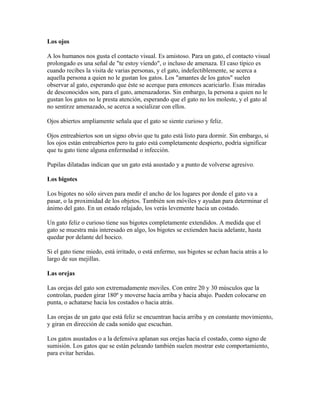 Los ojos
A los humanos nos gusta el contacto visual. Es amistoso. Para un gato, el contacto visual
prolongado es una señal de "te estoy viendo", o incluso de amenaza. El caso típico es
cuando recibes la visita de varias personas, y el gato, indefectiblemente, se acerca a
aquella persona a quien no le gustan los gatos. Los "amantes de los gatos" suelen
observar al gato, esperando que éste se acerque para entonces acariciarlo. Esas miradas
de desconocidos son, para el gato, amenazadoras. Sin embargo, la persona a quien no le
gustan los gatos no le presta atención, esperando que el gato no los moleste, y el gato al
no sentirze amenazado, se acerca a socializar con ellos.
Ojos abiertos ampliamente señala que el gato se siente curioso y feliz.
Ojos entreabiertos son un signo obvio que tu gato está listo para dormir. Sin embargo, si
los ojos están entreabiertos pero tu gato está completamente despierto, podría significar
que tu gato tiene alguna enfermedad o infección.
Pupilas dilatadas indican que un gato está asustado y a punto de volverse agresivo.
Los bigotes
Los bigotes no sólo sirven para medir el ancho de los lugares por donde el gato va a
pasar, o la proximidad de los objetos. También son móviles y ayudan para determinar el
ánimo del gato. En un estado relajado, los verás levemente hacia un costado.
Un gato feliz o curioso tiene sus bigotes completamente extendidos. A medida que el
gato se muestra más interesado en algo, los bigotes se extienden hacia adelante, hasta
quedar por delante del hocico.
Si el gato tiene miedo, está irritado, o está enfermo, sus bigotes se echan hacia atrás a lo
largo de sus mejillas.
Las orejas
Las orejas del gato son extremadamente moviles. Con entre 20 y 30 músculos que la
controlan, pueden girar 180º y moverse hacia arriba y hacia abajo. Pueden colocarse en
punta, o achatarse hacia los costados o hacia atrás.
Las orejas de un gato que está feliz se encuentran hacia arriba y en constante movimiento,
y giran en dirección de cada sonido que escuchan.
Los gatos asustados o a la defensiva aplanan sus orejas hacia el costado, como signo de
sumisión. Los gatos que se están peleando también suelen mostrar este comportamiento,
para evitar heridas.
 