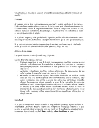 Un gato enojado muestra su agresión apuntando sus orejas hacia adelante formando un
ángulo.
Frotarse
A veces un gato se frota contra una persona y envuelve su cola alrededor de las piernas.
Está tratando de conocer el temperamento de esa persona, y de saber si es amistosa o no.
Es una forma de saludo. Si un gato se frota contra ti con su cuerpo o los lados de su cara,
sólo está marcando su territorio. Sin embargo, si el gato se frota con su frente o su nariz,
es una verdadera señal de afecto.
Si le gritas a un gato, y sabe que ha hecho algo malo, se hincarán defensivamente, como
dándose por vencidos. Esto es una señal para hacerte saber que él sabe que estás enojado.
Si tu gato está enojado contigo, pueden darse la vuelta y marcharse, con la cola hacia
arriba, y sacudir una pierna como diciendo "ya tuve contigo, me voy".
A través de sus olores
Los gatos emplean el marcaje desde muy pequeños.
Existen diferentes tipos de marcaje:
- Frotando su carita o la base de la cola contra esquinas, muebles, personas u otros
animales. Además de estar demostrándote su afecto, si tu gato frota su cara contra
la tuya es porque te está marcando con su olor “para que todo el mundo sepa que
eres suyo”.
- Arañando verticalmente muebles, cortinas, alfombras... Se trata, además de una
señal olfativa, de una señal visual para marcar el territorio.
- Orinando en determinados lugares. Esto suelen realizarlo los machos cuando
están en celo y se puede suprimir este comportamiento con la castración, tal y
como comentamos más arriba. Aún así, hay gatos muy territoriales (incluidas
algunas hembras) que siguen marcado a pesar de la castración. O gatos que
debido a un estrés temporal pueden orinar marcando el territorio. Aún así, la orina
de marcaje y la orina normal huelen totalmente distinto, siendo la orina de
marcaje mucho más acusada en cuanto a olor. Habría que saber distinguirlo con el
fin de poder reconocer si hay un problema físico o psicológico o bien si es por
simple marcaje.
Nota final
Si tu gato se comporta de manera extraña, es muy probable que tenga alguna molestia o
enfermedad. Observarlo de cerca y aprender a comprender el lenguaje corporal de tu gato
no sólo te acercará más a tu mascota, sino que puede ser de ayuda como una advertencia
temprana a signos de enfermedad. Hasta podrías salvar la vida de tu gato.
 
