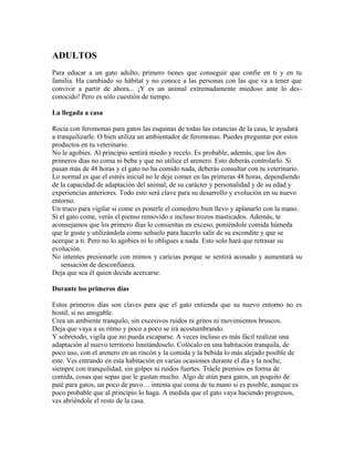 ADULTOS
Para educar a un gato adulto, primero tienes que conseguir que confíe en ti y en tu
familia. Ha cambiado su hábitat y no conoce a las personas con las que va a tener que
convivir a partir de ahora... ¡Y es un animal extremadamente miedoso ante lo des-
conocido! Pero es sólo cuestión de tiempo.
La llegada a casa
Rocía con feromonas para gatos las esquinas de todas las estancias de la casa, le ayudará
a tranquilizarle. O bien utiliza un ambientador de feromonas. Puedes preguntar por estos
productos en tu veterinario.
No le agobies. Al principio sentirá miedo y recelo. Es probable, además, que los dos
primeros días no coma ni beba y que no utilice el arenero. Esto deberás controlarlo. Si
pasan más de 48 horas y el gato no ha comido nada, deberás consultar con tu veterinario.
Lo normal es que el estrés inicial no le deje comer en las primeras 48 horas, dependiendo
de la capacidad de adaptación del animal, de su carácter y personalidad y de su edad y
experiencias anteriores. Todo esto será clave para su desarrollo y evolución en su nuevo
entorno.
Un truco para vigilar si come es ponerle el comedero bien llevo y aplanarlo con la mano.
Si el gato come, verás el pienso removido e incluso trozos masticados. Además, te
aconsejamos que los primero días lo consientas en exceso, poniéndole comida húmeda
que le guste y utilizándola como señuelo para hacerlo salir de su escondite y que se
acerque a ti. Pero no lo agobies ni lo obligues a nada. Esto solo hará que retrasar su
evolución.
No intentes presionarle con mimos y caricias porque se sentirá acosado y aumentará su
sensación de desconfianza.
Deja que sea él quien decida acercarse.
Durante los primeros días
Estos primeros días son claves para que el gato entienda que su nuevo entorno no es
hostil, si no amigable.
Crea un ambiente tranquilo, sin excesivos ruidos ni gritos ni movimientos bruscos.
Deja que vaya a su ritmo y poco a poco se irá acostumbrando.
Y sobretodo, vigila que no pueda escaparse. A veces incluso es más fácil realizar una
adaptación al nuevo territorio limitándoselo. Colócalo en una habitación tranquila, de
poco uso, con el arenero en un rincón y la comida y la bebida lo más alejado posible de
este. Ves entrando en esta habitación en varias ocasiones durante el día y la noche,
siempre con tranquilidad, sin golpes ni ruidos fuertes. Tráele premios en forma de
comida, cosas que sepas que le gustan mucho. Algo de atún para gatos, un poquito de
paté para gatos, un poco de pavo… intenta que coma de tu mano si es posible, aunque es
poco probable que al principio lo haga. A medida que el gato vaya haciendo progresos,
ves abriéndole el resto de la casa.
 