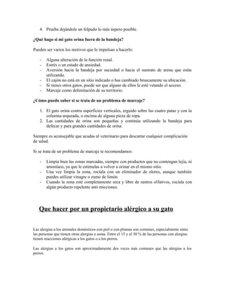 4. Prueba dejándole un felpudo lo más áspero posible.
¿Qué hago si mi gato orina fuera de la bandeja?
Pueden ser varios los motivos que le impulsan a hacerlo:
- Alguna alteración de la función renal.
- Estrés o un estado de ansiedad.
- Aversión hacia la bandeja por suciedad o hacia el sustrato de arena que estás
utilizando.
- El cajón no está en un sitio indicado o has cambiado bruscamente su ubicación.
- Si tienes otros gatos, puede ser que alguno de ellos le esté vetando el acceso.
- Marcaje como delimitación de su territorio.
¿Cómo puedo saber si se trata de un problema de marcaje?
1. El gato orina contra superficies verticales, erguido sobre las cuatro patas y con la
columna arqueada, o encima de alguna pieza de ropa.
2. Las cantidades de orina son pequeñas y continúa utilizando la bandeja para
defecar y para grandes cantidades de orina.
Siempre es aconsejable que acudas al veterinario para descartar cualquier complicación
de salud.
Si se trata de un problema de marcaje te recomendamos:
- Limpia bien las zonas marcadas, siempre con productos que no contengan lejía, ni
amoníaco, ya que le estimulas a volver a orinar en el mismo sitio.
- Una vez limpia la zona, rocíala con un eliminador de olores, aunque también
puedes utilizar vinagre o zumo de limón.
- Cuando la zona esté completamente seca y libre de rastros olfativos, rocíala con
algún producto repelente anti micciones.
32
30 Que hacer por un propietario alérgico a su gato
Las alergias a los animales domésticos con piel o con plumas son comunes, especialmente entre
las personas que tienen otras alergias o asma. Entre el 15 y el 30 % de las personas con alergias
tienen reacciones alérgicas a los gatos o a los perros.
Las alergias a los gatos son aproximadamente dos veces más comunes que las alergias a los
perros.
 