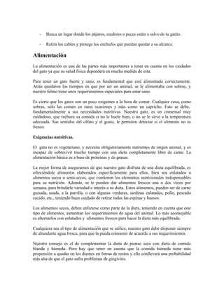 - Busca un lugar donde los pájaros, roedores o peces estén a salvo de tu gatito.
- Retira los cables y protege los enchufes que puedan quedar a su alcance.
Alimentación
La alimentación es una de las partes más importantes a tener en cuenta en los cuidados
del gato ya que su salud física dependerá en mucha medida de esta.
Para tener un gato fuerte y sano, es fundamental que esté alimentado correctamente.
Atrás quedaron los tiempos en que por ser un animal, se le alimentaba con sobras, y
nuestro felino tiene unos requerimientos especiales para estar sano.
Es cierto que los gatos son un poco exigentes a la hora de comer. Cualquier cosa, como
sobras, sólo las comen en raras ocasiones y más como un capricho. Esto se debe,
fundamentalmente a sus necesidades nutritivas. Nuestro gato, es un comensal muy
cuidadoso, que rechaza su comida si no le huele bien, o no se le sirve a la temperatura
adecuada. Sus sentidos del olfato y el gusto, le permiten detectar si el alimento no es
fresco.
Exigencias nutritivas.
El gato no es vegetariano, y necesita obligatoriamente nutrientes de origen animal, y es
incapaz de sobrevivir mucho tiempo con una dieta completamente libre de carne. La
alimentación básica es a base de proteínas y de grasas.
La mejor forma de asegurarnos de que nuestro gato disfruta de una dieta equilibrada, es
ofreciéndole alimentos elaborados específicamente para ellos, bien sea enlatados o
alimentos secos o semi-secos, que contienen los elementos nutricionales indispensables
para su nutrición. Además, se le pueden dar alimentos frescos una o dos veces por
semana, para brindarle variedad e interés a su dieta. Estos alimentos, pueden ser de carne
guisada, asada, a la parrilla, o con algunas verduras, sardinas enlatadas, pollo, pescado
cocido, etc., teniendo buen cuidado de retirar todas las espinas y huesos.
Los alimentos secos, deben utilizarse como parte de la dieta, teniendo en cuenta que este
tipo de alimentos, aumentan los requerimientos de agua del animal. Lo más aconsejable
es alternarlos con enlatados y alimentos frescos para hacer la dieta más equilibrada.
Cualquiera sea el tipo de alimentación que se utilice, nuestro gato debe disponer siempre
de abundante agua fresca, para que la pueda consumir de acuerdo a sus requerimientos.
Nuestro consejo es el de complementar la dieta de pienso seco con dieta de comida
blanda y húmeda. Pero hay que tener en cuenta que la comida húmeda tiene más
propensión a quedar en los dientes en forma de restos y ello conllevará una probabilidad
más alta de que el gato sufra problemas de gingivitis.
 