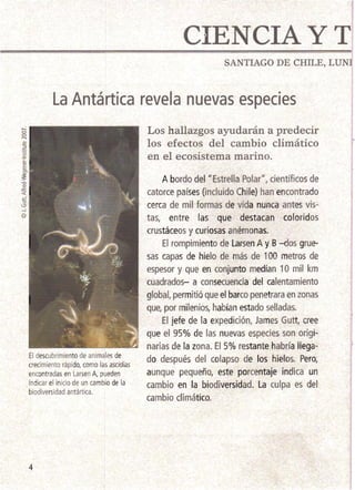 CIENCIA YT
El descubrimiento de animales de
crecimiento rápido, como las ascidias
encontradas en LarsenA, pueden
indicar el inicio de un cambio de la
biodiversidad antártica.
SANTIAGO DE CHILE, LUNl
la Antártica revela nuevas especies
Los hallazgos ayudarán a predecir
los efectos del cambio climático
en el ecosistema marino.
A bordo del "Estrella Polar", científicos de
catorce países (incluido Chile) han encontrado
cerca de mil formas de vida nunca antes vis­
tas, entre las que destacan coloridos
crustáceos y curiosas anémonas.
El rompimiento de Larsen A y B-dos grue­
sas capas de hielo de más de 100 metros de
espesor y que en conjunto medían 10 mil km
cuadrados- a consecuencia del calentamiento
global, permitió que el barco penetrara en zonas
que, por milenios, habían estado selladas.
El jefe de la expedición, James Gutt, cree
que el 95% de las nuevas especies son origi­
narias de la zona. El 5% restante habría llega­
do después del colapso de los hielos. Pero,
aunque pequeño, este porcentaje indica un
cambio en la biodiversidad. La culpa es del
cambio climático.
4
 