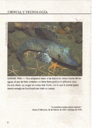 CIENCIA Y TECNOLOGÍA 

SANGRE FRíA.- Para adaptarse mejor a las bajísimas temperaturas de las
aguas, el pez de hielo antártico no tiene hemoglobina ni glóbulos rojos.
De este modo, su sangre se vuelve más fluida, con lo que el animal gasta
menas energía en bombearla por todo su cuerpo.
I
) 1 La Antártica revela nuevas especies" .
Diario El Mercurio, 26 de febrero de 2007, Santiago de Chile.
6 

 