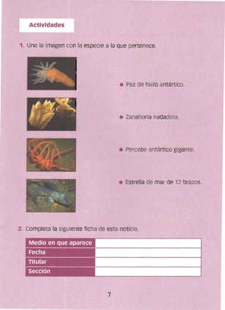 Actividades
1. Une la imagen con la especie a la que pertenece.
2. Completa la siguiente ficha de esta noticia.
• Pez de hielo antártico.
• Zanahoria nadadora.
• Percebe antártico gigante.
• Estrella de mar de 12 brazos.
 
