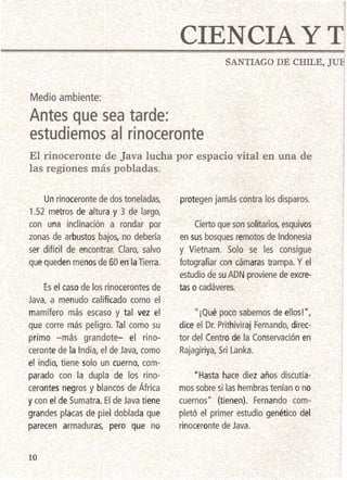 CIEN-CI:AYT
SANTIAGO DE CHILE, JUE
!
Medio ambiente:
Antes que sea tarde: -­
.' estudiemos a.rinocerante
.El rinoceronte de Java lucha por espacio vital en una de
las regiones más pobladas.
Un rinoceronte de "dos toneladas,
'1.52 metros de altura y 3 de largo,
con una inclinación a rondar por
zonas de arbustos bajos, no debería
ser difícil de encontrar. Claro, salvo
quequeden menosde 60 en la Tierra.
Es el caso de los rinocerontes de
Java, a menudo calificado como el
mamífero más escaso y tal vez el
que corre más peligro. Tal como su
primo -más grandote- el rino­
ceronte de la India, el de Java, como
el indio, tiene solo un cuerno, com­
parado con la dupla de los rino­
cerontes negros y blancos de África
ycon el de Sumatra"El de Java tiene
grandes placas de piel doblada que
parecen armaduras, pero que no
protegen jamás contra los disparos.
. Cierto que son solitarios, esquivos
en sus.bosques remotos de lndonesia
y Vietnam. ,Solo se les 'consigue
fotografiar con cámaras trampa. Y el
estudio de suADN proviene de excre­
taso cadáveres.
"¡Qué poco sabemos de ellos! ",
dice el Dr. Prithiviraj Fernando, direc­
tor del Centro de la Conservación en
Rajagiriya, Sri Lanka.
11 Hasta hace diez años discutía­
mos sobre si las hembras tenían o no
cuernos" (tienen). Fernando com­
pletó el primer estudio genético del
rinoceronte'de Java.
10
 