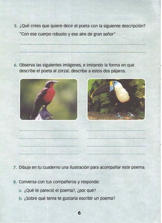 5. ¿Qué crees que quiere decir el poeta con la siguiente descripción?
IICon ese cuerpo robusto y ese aire de gran señoril
:6. 	Observa las siguier)tes imágenes, e imitando la forma en que
describe el poeta aJ zorzal, describe a estos dos pájaros.
7. 	Dibuja en tu cuaderno una ilustración para acompañar este poema.
8..	 Conversa con tus compañeros y responde:
a. 	¿Qué te pareció el poema?, ¿por qué?
b. ¿Sobre qué tema te gustaría escribir un poema?
 