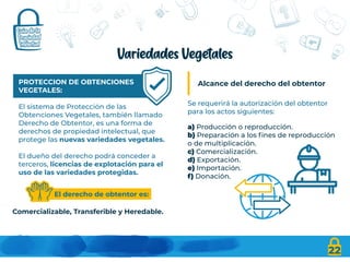 22
Variedades Vegetales
PROTECCION DE OBTENCIONES
VEGETALES:
El sistema de Protección de las
Obtenciones Vegetales, también llamado
Derecho de Obtentor, es una forma de
derechos de propiedad intelectual, que
protege las nuevas variedades vegetales.
El dueño del derecho podrá conceder a
terceros, licencias de explotación para el
uso de las variedades protegidas.
Comercializable, Transferible y Heredable.
El derecho de obtentor es:
Alcance del derecho del obtentor
Se requerirá la autorización del obtentor
para los actos siguientes:
a) Producción o reproducción.
b) Preparación a los fines de reproducción
o de multiplicación.
c) Comercialización.
d) Exportación.
e) Importación.
f) Donación.
 