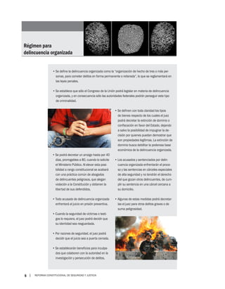 Guia de la reforma constitucional penal 2008 | PDF