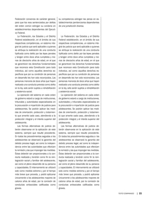 Guia de la reforma constitucional penal 2008 | PDF