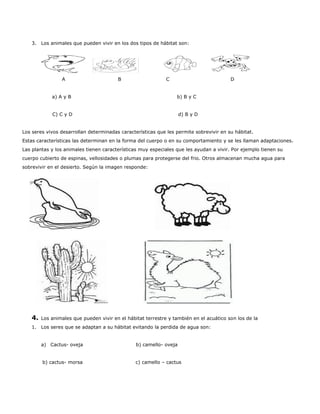 3. Los animales que pueden vivir en los dos tipos de hábitat son:
A B C D
a) A y B b) B y C
C) C y D d) B y D
Los seres vivos desarrollan determinadas características que les permite sobrevivir en su hábitat.
Estas características las determinan en la forma del cuerpo o en su comportamiento y se les llaman adaptaciones.
Las plantas y los animales tienen características muy especiales que les ayudan a vivir. Por ejemplo tienen su
cuerpo cubierto de espinas, vellosidades o plumas para protegerse del frio. Otros almacenan mucha agua para
sobrevivir en el desierto. Según la imagen responde:
4. Los animales que pueden vivir en el hábitat terrestre y también en el acuático son los de la
1. Los seres que se adaptan a su hábitat evitando la perdida de agua son:
a) Cactus- oveja b) camello- oveja
b) cactus- morsa c) camello – cactus
 