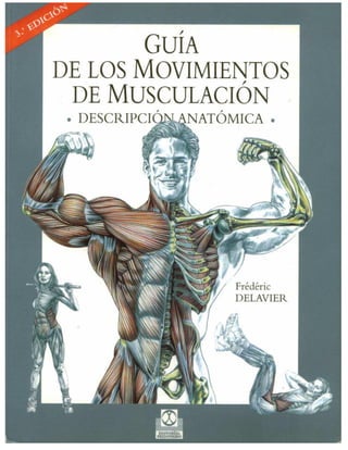 Guia de los movimientos de musculacion (hombre)