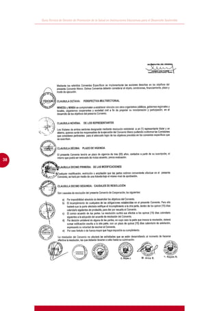 Guía Técnica de Gestión de Promoción de la Salud en Instituciones Educativas para el Desarrollo Sostenible




38
 