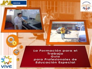 La Formación para el Trabajo Guía para Profesionales de  Educación Especial 