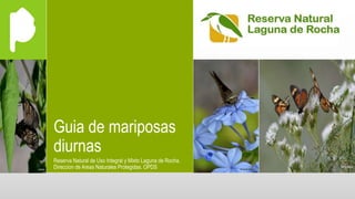 Guia de mariposas
diurnas
Reserva Natural de Uso Integral y Mixto Laguna de Rocha.
Direccion de Areas Naturales Protegidas. OPDS
 