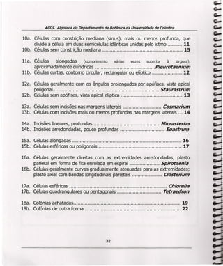 ACOL Algoteca do Departamento de Botânica da Universidade de Coimbra
10a. Células com constrição mediana (sinus), mais ou menos profunda, que
divide a célula em duas semicélulas idênticas unidas pelo istmo 11
10b. Células sem constrição mediana 15
lla. Células alongadas (comprimento varias vezes superior à largura),
aproximadamente cilíndricas Pleurotaenium
llb. Células curtas, contorno circular, rectangular ou elíptico 12
12a. Células geralmente com os ângulos prolongados por apófises, vista apical
poligonal Staurastrum
12b. Células sem apófises, vista apical elíptica 13
13a. Células sem incisões nas margens laterais Cosmarium
13b. Células com incisões mais ou menos profundas nas margens laterais ... 14
14a. Incisões lineares, profundas Micrasterias
14b. Incisões arredondadas, pouco profundas Euastrum
15a. Células alongadas 16
15b. Células esféricas ou poligonais 17
16a. Células geralmente direitas com as extremidades arredondadas; plasto
parietal em forma de fita enrolada em espiral Spirotaenia
16b. Células geralmente curvas gradualmente atenuadas para as extremidades;
plasto axial com bandas longitudinais parietais Closterium
17a. Células esféricas Chlorella
17b. Células quadrangulares ou pentagonais Tetraedron
18a. Colónias achatadas 19
18b. Colónias de outra forma 22
32
 