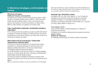 15
4. Monitoreo de plagas y enfermedades en
tomate
Monitoreo de plagas
Polilla del Tomate, Tuta absoluta
Se debe revisar la planta entera hasta que ésta supere 1,00m
de altura, el medio superior entre 1,00m y 1,70m y el tercio
medio cuando la planta supere 1,70m. Se contará en esa
porción de la planta el número de foliolos con daño fresco
(FDFr) es decir foliolos con galerías con larva/s viva/s.
 
Trips, Frankliniella occidentalis, Frankliniella schultzei y
Trips tabaci
En la misma porción de la planta que para la polilla del tomate
se registra el número de foliolos con daño de trips, el número
de adultos en el haz de los foliolos y el número de ninfas en el
envés de los foliolos con daño.
Mosca blanca de los invernáculos, Trialeurodes
vaporariorum y Bemisia tabaci
Se cuenta el número de adultos en el envés de las 2 hojas
superiores. Es necesario distinguir en este recuento las 2
especies posibles teniendo en cuenta las características
morfológicas diferenciales de los adultos .
Se cuenta también el número de ninfas en 2 folíolos elegidos
al azar en el estrato foliar de la 5ta - 6ta hoja completamente
desarrollada contando desde el ápice.
Se revisa los estratos inmediatos inferiores al anterior para
observar las pupas como forma de confirmar la presencia de B.
tabaci.
Nota: La ubicación de adultos y ninfas es orientativa. El monitoreador
tiene que cerciorarse en cada monitoreo que en dicha distribución se
encuentra la mayor abundancia de ninfas y adultos. En caso de no ser
así, se puede modificar el patrón de observaciones.
 
Arañuela roja, Tetranichus urticae
Se registra con uno, dos o tres signos «+» los 3 niveles de
abundancia de arañuela. Presencia de algunas arañuelas
aisladas en foliolos (+). Abundante presencia sin formar
colonias y sin presencia de daño en hoja visible (++). Colonias
con tela y daño visible en hojas (+++).
 
Otras plagas y daños
Acaro del bronceado, Aculops lycopersici, Se registra la
presencia de síntomas.
Se registra en la columna observaciones la presencia de otras
plagas o daños.
Niveles de Tolerancia
Se realizarán tratamientos de control cuando el promedio
 