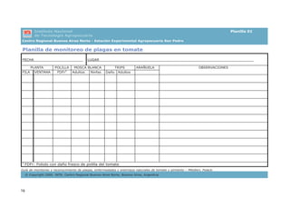 16
Planilla de monitoreo de plagas en tomate
FECHA_______________________ LUGAR________________________________________________________________________
PLANTA POLILLA MOSCA BLANCA TRIPS ARAÑUELA
FILA VENTANA FDFr2
Adultos Ninfas Daño Adultos
OBSERVACIONES
2
FDFr: Foliolo con daño fresco de polilla del tomate
Guía de monitoreo y reconocimiento de plagas, enfermedades y enemigos naturales de tomate y pimiento – Mitidieri, Polack.
© Copyright 2005. INTA. Centro Regional Buenos Aires Norte, Buenos Aires, Argentina
Instituto Nacional
de Tecnología Agropecuaria
Planilla 01
 