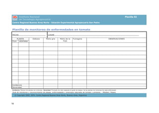 18
Planilla de monitoreo de enfermedades en tomate
FECHA_______________________ LUGAR________________________________________________________________________
PLANTA
FILA VENTANA
Oidiosis Moho gris Moho de la
hoja
Fumagina OBSERVACIONES
Incidencia
Severidad
Incidencia: Número de plantas con síntomas - Severidad: Promedio de valor asignado al grado de ataque de las plantas con síntomas de cada enfermedad.
Instituto Nacional
de Tecnología Agropecuaria
Planilla 02
Guía de monitoreo y reconocimiento de plagas, enfermedades y enemigos naturales de tomate y pimiento – Mitidieri, Polack.
© Copyright 2005. INTA. Centro Regional Buenos Aires Norte, Buenos Aires, Argentina
 