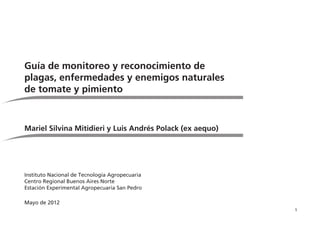 1
Guía de monitoreo y reconocimiento de
plagas, enfermedades y enemigos naturales
de tomate y pimiento
Mariel Silvina Mitidieri y Luis Andrés Polack (ex aequo)
Instituto Nacional de Tecnología Agropecuaria
Centro Regional Buenos Aires Norte
Estación Experimental Agropecuaria San Pedro
Mayo de 2012
 