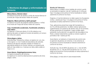 21
5. Monitoreo de plagas y enfermedades en
pimiento
Mosca blanca, Bemisia tabaci
Se realiza el recuento de adultos y ninfas de moscas blancas en
el envés de 4 hojas del estrato medio de la planta.
Pulgones, Myzus persicae y Aphis gossypii
Se realiza el recuento de pulgones (adultos ápteros + ninfas)
en el envés de 4 hojas del estrato medio de la planta.
Trips, Frankliniella occidentalis, Frankliniella schultzei y
Trips tabaci
Se observan 3 flores por planta. En la flor abierta y con
plenitud de polen se registra el número de adultos y el número
de ninfas de la planta.
Otras plagas y daños
Arañuela Roja, Tetranychus urticae, se registra con uno, dos
o tres signos «+» los 3 niveles de abundancia de arañuela.
Presencia de algunas arañuelas aisladas en foliolos (+).
Abundante presencia sin formar colonias y sin presencia de
daño en hoja visible (++). Colonias con tela y daño visible en
hojas (+++).
Acaro blanco, Polyphagotarsonemus latus,
Se registra la presencia de síntomas.
Se registra en la columna observaciones la presencia de otras
plagas o daño.
Niveles de Tolerancia
Mosca Blanca, se deben iniciar medidas de control cuando
en promedio se registren más de 5 adultos y/o 4 ninfas por
hoja. Si la plaga se encuentra en forma localizada se realiza
solamente el control en los focos.
Pulgones, el nivel de tolerancia no debe superar los 8 pulgones
(ninfas + adulto) por hoja. Si la plaga se encuentra en forma
localizada se realiza solamente el control en los focos.
Trips, aplicaciones preventivas luego del transplante y a
los 14 y 28 días posteriores. Se deben realizar aplicaciones
suplementarias con presencia de adultos vivos en los primeros
40 días posteriores al transplante. Luego se debe seguir
prestando mucha atención a la aparición de esta plaga en las
flores y realizar tratamientos cuando su número supere en
promedio el de 1 adulto por flor.
Acaro blanco: se realizará un tratamiento de control ante
la aparición de plantas con síntomas. Si los síntomas se
encuentran en forma localizada se realizará solamente el
control en los focos.
Arañuela roja, más de 80% de plantas con +, más de 50%
de plantas con ++, más de 25% de plantas con +++. Si la
plaga se encuentra en forma localizada se realiza solamente el
control en los focos.
Otras plagas, se trata solo en casos excepcionales.
 