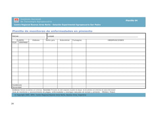 24
Planilla de monitoreo de enfermedades en pimiento
FECHA_______________________ LUGAR________________________________________________________________________
PLANTA
FILA VENTANA
Oidiosis Moho gris Sclerotinia Fumagina OBSERVACIONES
Incidencia
Severidad
Incidencia: Número de plantas con síntomas - Severidad: Promedio de valor asignado al grado de ataque de las plantas con síntomas de cada enfermedad.
Planilla 04
Instituto Nacional
de Tecnología Agropecuaria
Guía de monitoreo y reconocimiento de plagas, enfermedades y enemigos naturales de tomate y pimiento – Mitidieri, Polack.
© Copyright 2005. INTA. Centro Regional Buenos Aires Norte, Buenos Aires, Argentina
 