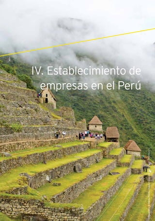 IV. Establecimiento de empresas en el Perú
111Guía de Negocios e Inversión en el Perú
CiudadeladeMachuPicchu-Cusco.Fotografía:RenzoTassolPromPerú©
IV. Establecimiento de
empresas en el Perú
 