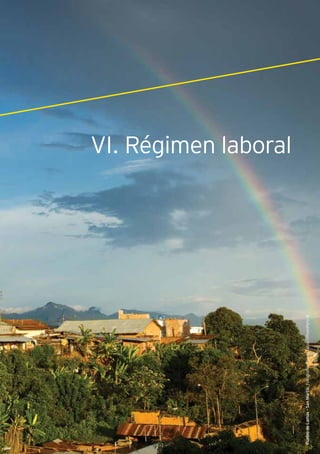 VI. Régimen laboral
137Guía de Negocios e Inversión en el Perú
PueblodeLamas-SanMartín.Fotografía:RenzoTassolPromPerú©
VI. Régimen laboral
 
