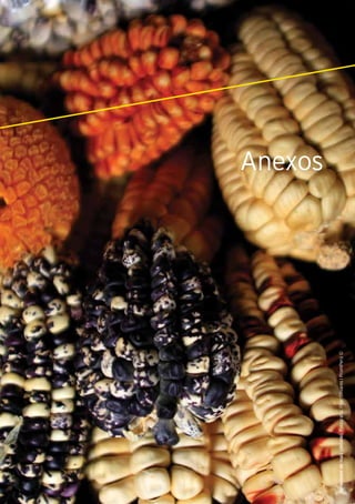 Anexos - Principales organismos reguladores y de promoción en el Perú
149Guía de Negocios e Inversión en el Perú
Variedadesdemaíz(detalle).Fotografía:PilarOlivareslPromPerú©
Anexos
 