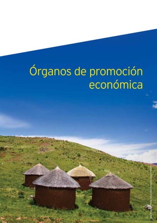 155Guía de Negocios e Inversión en el Perú
IslaTiconata-Puno.Fotografía:FernandoLópezlPromPerú©
Órganos de promoción
económica
 