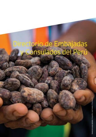 179Guía de Negocios e Inversión en el Perú
Granosdecacao(detalle).Fotografía:JuanPuelleslPromPerú©
Directorio de Embajadas
y Consulados del Perú
 