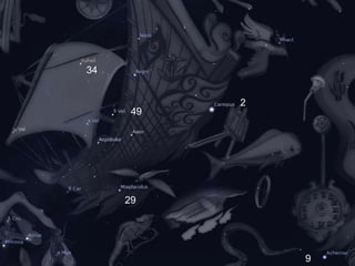 34


           2
      49




     29




               9
 