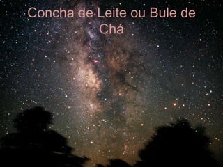 Concha de Leite ou Bule de
          Chá
 