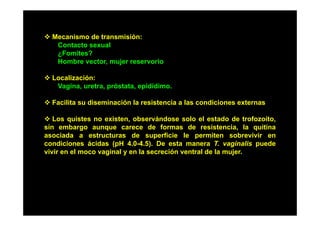 Mecanismo de transmisión:
Contacto sexual
¿Fomites?
Hombre vector mujer reservorio
vector,
Localización:
Vagina, uretra, próstata, epidídimo.
Vagina uretra próstata epidídimo
Facilita su diseminación la resistencia a las condiciones externas
Los quistes no existen, observándose solo el estado de trofozoíto,
sin embargo aunque carece de formas de resistencia, la quitina
asociada a estructuras de superficie le permiten sobrevivir en
p
p
condiciones ácidas (pH 4.0-4.5). De esta manera T. vaginalis puede
vivir en el moco vaginal y en la secreción ventral de la mujer.

 