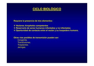 CICLO BIOLÓGICO

Requiere la presencia de tres elementos:
Vectores Anopheles competentes
Reservorio de seres humanos infectados y no infectados
Oportunidad de contacto entre el vector y su hospedero humano.

Otras vías posibles de transmisión pueden ser:
Congénita.
Transfusiones.
Trasplantes.
g
Jeringas.

 