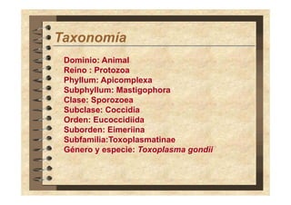 Taxonomía
T
í
Dominio: Animal
Reino : Protozoa
Phyllum: Apicomplexa
Subphyllum: Mastigophora
Clase: Sporozoea
Subclase: Coccidia
Orden: Eucoccidiida
Suborden: Eimeriina
Subfamilia:Toxoplasmatinae
Género y especie: Toxoplasma gondii

 