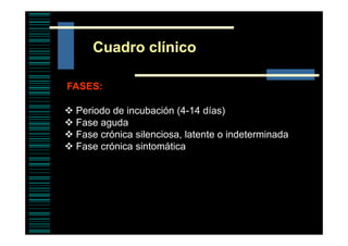 Cuadro clínico
FASES:
Periodo de incubación (4-14 días)
Fase aguda
Fase crónica silenciosa, latente o indeterminada
Fase crónica sintomática

 