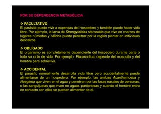 POR SU DEPENDENCIA METABÓLICA
FACULTATIVO
El parásito puede vivir a expensas del hospedero y también puede hacer vida
libre. Por j
lib P ejemplo, l l
l la larva d St
de Strongyloides stercoralis que vive en charcos d
l id
t
li
i
h
de
lugares húmedos y cálidos puede penetrar por la región plantar en individuos
descalzos.
OBLIGADO
El organismo es completamente dependiente del hospedero durante parte o
todo su ciclo de vida Por ejemplo Plasmodium depende del mosquito y del
vida.
ejemplo,
hombre para sobrevivir.
ACCIDENTAL
El parasito normalmente desarrolla vida libre pero accidentalmente puede
alimentarse de un hospedero. Por ejemplo, las amibas Acanthamoeba y
Naegleria que viven en el agua y penetran por las fosas nasales de personas,
g
q
g
p
p
p
,
o las sanguijuelas que viven en aguas pantanosas y cuando el hombre entra
en contacto con ellas se pueden alimentar de el.

 