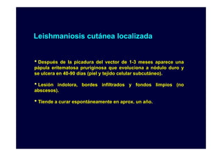Leishmaniosis cutánea localizada

•D
Después
é

de la i d
d l picadura d l vector d 1 3 meses aparece una
del
de 1-3
pápula eritematosa pruriginosa que evoluciona a nódulo duro y
se ulcera en 40-90 días (piel y tejido celular subcutáneo).

• Lesión

indolora, bordes infiltrados y fondos limpios (no
abscesos).

• Tiende a curar espontáneamente en aprox. un año.

 