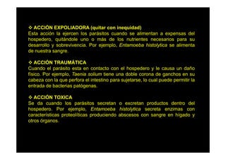 ACCIÓN EXPOLIADORA (quitar con inequidad)
Ó
Esta acción la ejercen los parásitos cuando se alimentan a expensas del
hospedero, quitándole uno o más de los nutrientes necesarios para su
desarrollo y sobrevivencia. P ejemplo, E t
d
ll
b i
i Por j
l Entamoeba hi t l ti se alimenta
b histolytica
li
t
de nuestra sangre.
ACCIÓN TRAUMÁTICA
Cuando el parásito esta en contacto con el hospedero y le causa un daño
físico. Por ejemplo, Taenia solium tiene una doble corona de ganchos en su
cabeza con la que perfora el intestino para sujetarse lo cual puede permitir la
sujetarse,
entrada de bacterias patógenas.
ACCIÓN TOXICA
Se da cuando los parásitos secretan o excretan productos dentro del
hospedero. Por ejemplo, Entamoeba histolytica secreta enzimas con
características proteolíticas produciendo abscesos con sangre en hígado y
otros órganos.

 