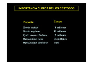 IMPORTANCIA CLINICA DE LOS CÉSTODOS

Especie

Casos

Taenia solium
g
Taenia saginata
Cystecercus cellulosae
Hymenolepis nana
y
p
Hymenolepis diminuta

5 millones
50 millones
2 millones
36 millones
rara

 