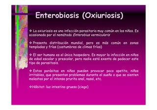 Enterobiosis (Oxiuriosis)
La i i i
L oxiuriosis es una i f
infección parasitaria muy común en l niños. E
ió
it i
ú
los iñ
Es
ocasionada por el nemátodo Enterobius vermicularis
Presenta distribución mundial pero es más común en zonas
mundial,
templadas y frías (costumbres de climas fríos)
El ser humano es el único hospedero Es mayor la infección en niños
hospedero.
de edad escolar y prescolar, pero nadie está exento de padecer este
tipo de parasitosis.
Estos parásitos en niños pueden provocar poco apetito, niños
irritables, que presentan problemas durante el sueño o que se sienten
molestos por el intenso prurito anal, nasal, etc.
ntenso prur to
Hábitat: luz intestino grueso (ciego)

 
