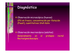 Diagnóstico
Observación microscópica (huevos)
CPS en fresco concentración por flotación
fresco,
(Faust), cuantitativos Stoll-Kato

Observación macroscópica (adultos)
Generalmente
en
Rectosigmoidoscopia

el

prolapso

rectal

 