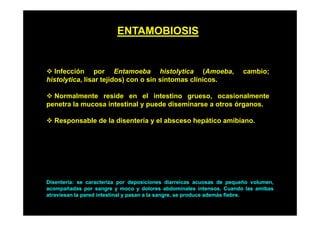 ENTAMOBIOSIS

Infección por Entamoeba histolytica (Amoeba,
histolytica, lisar tejidos) con o sin síntomas clínicos.

cambio;

Normalmente reside en el intestino grueso, ocasionalmente
penetra la mucosa intestinal y puede diseminarse a otros órganos.
Responsable de la disentería y el absceso hepático amibiano.

Disentería: se caracteriza por deposiciones diarreicas acuosas de pequeño volumen,
acompañadas por sangre y moco y dolores abdominales intensos. Cuando las amibas
atraviesan la pared intestinal y pasan a la sangre, se produce además fiebre.

 