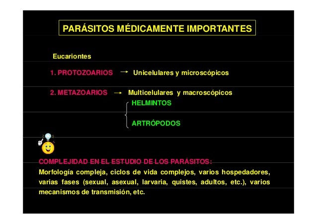 Que es posible dar a los niños de las lombrices en 2 años